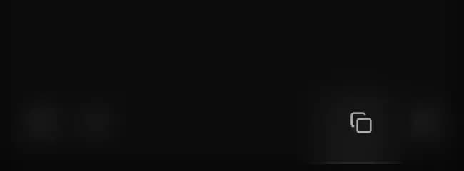 Le bouton Copier en bas à droite de la sidebar du Replayer de main.